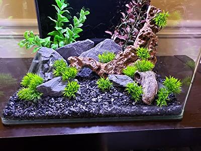 Fish Tank Decor Rocks Aquarium Ornaments,Aquarium Rocks  Aquascaping,Sandstone Fish Tank Decor,Natural Rocks for  Aquariums,Paludarium,Terrariums,and