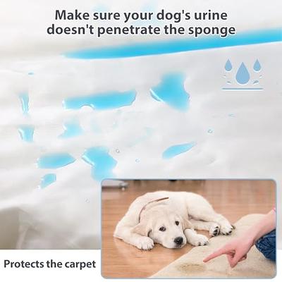 WNPETHOME Dog Beds for Medium Large Dogs, Orthopedic Sofa Mat Pillow with  Removable Waterproof Cover, Egg-Foam Crate Bed