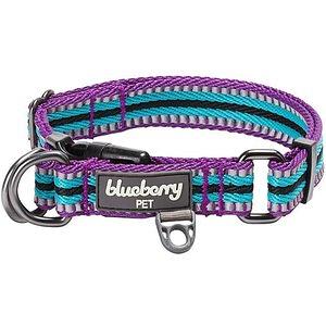 Blueberry Pet Classic Solid Dog Collar, Turquoise, Small