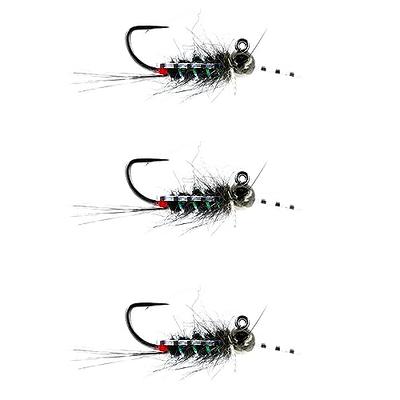 10pcs/Pack Fly Fishing Lures Assorted Wet Flies Trout Fishing