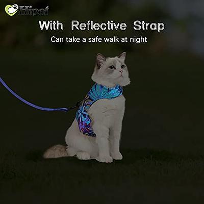 Pet Supplies : Cat Harness with Leash Set Hawaiian Adjustable Vest Harness  Outdoor Walking Escape Proof for Cat Kitten (S, Blue) 