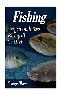 Fishing: Largemouth Bass, Catfish, Bluegill (Freshwater fishing
