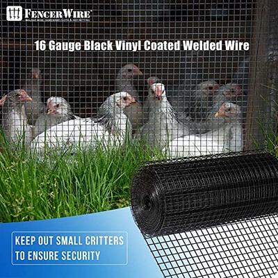 Fencer Wire Hardware Cloth with 1-Inch Grid, 16 Gauge Black Vinyl Coated  Welded Fence Mesh Roll for Home and Garden Fence and Pet Enclosures Protect  (48 Inch x 50 ft.) - Yahoo Shopping