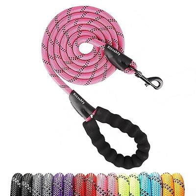 Voyager Reflective Dog Leash Collar Set with Neoprene Handle Supports Small, Medium, and Large Breed Puppies, Cute and Heavy Duty for Walking, Running