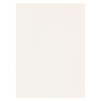 Heavyweight 8.5 x 11 Cardstock Paper by Recollections™, 100 Sheets
