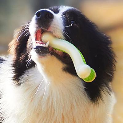 Dog Rope Toys Braided Puppy Grinding Pet Teeth Teething Toys Dental  Cleaning Product Dog Chew Toys