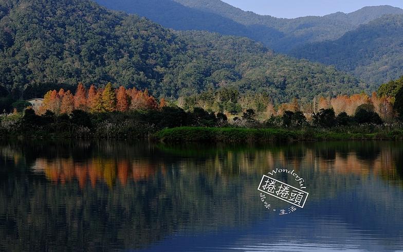 國家級保育濕地，天然浮島守護瀕危植物～宜蘭雙連埤環湖步道