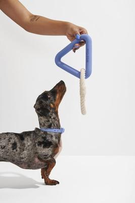 Wild One Triangle Tug Dog Toy in Moonstone at Urban Outfitters - Yahoo  Shopping