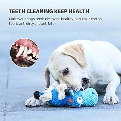 Squeaky Plush Dog Toys Puppy Chew Toys Durable Dog Toys For Small Medium  Large Dogs Interactive Novelty Reduce Separation Anxiety Chicken Shaped