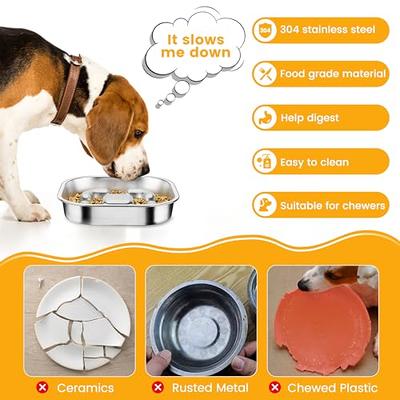 304 Stainless Steel Slow Feeder Dog Bowls, Metal Dog Food Bowls