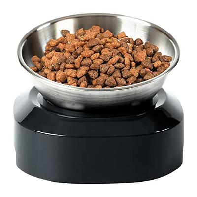 BNOSDM Tilted Dog Cat Bowls Set 2 Pcs Removable Stainless Steel