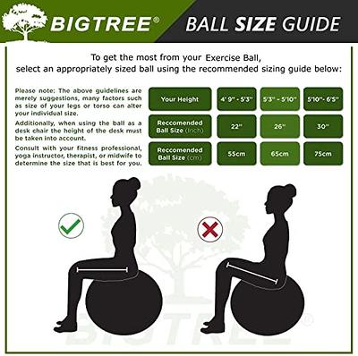 Best Balance Ball Chairs for Home, Office, Yoga, Stability, and