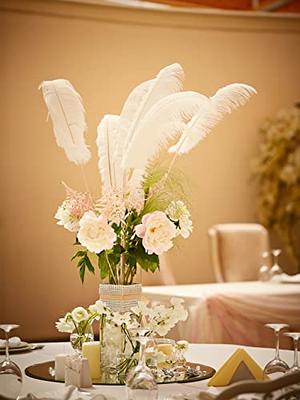Retrowavy 30 Pcs 14-16 Inches Large Natural Ostrich Feathers Bulk for  Centerpieces for Wedding Party Centerpieces Home Decoration Flower  Arrangement