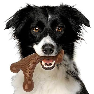 KONG Goodie Bone - Rubber Dog Toy - Dental Dog Toy for Teeth & Gum Health -  Durable Dog Chew Toy - Hard Rubber Bone for Dogs - Fillable Toy for