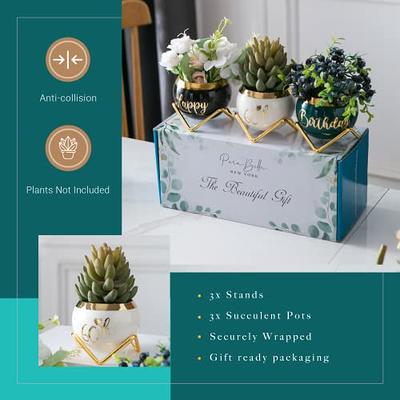 Birthday Gifts Mom - Perfect Mom Birthday Gifts & Mother Birthday Gifts:  Unique Happy Birthday Mom Present, 3 Succulent Pots