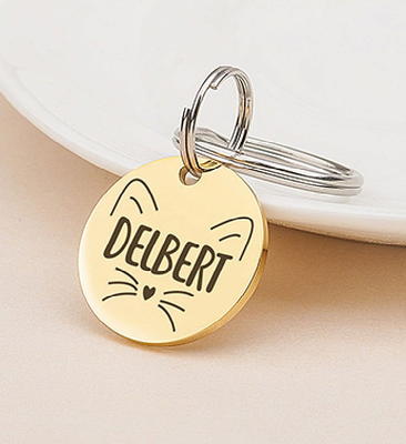 Pawsitively Pet Tags DEEP Custom Stainless Steel Pet ID Tags Front and Back  Engraved Dog Tags Personalized for Dogs and Cats (Bone 1 X1-1/2)