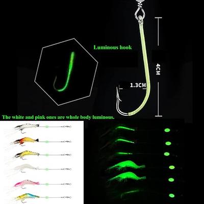 10Packs Sabiki Rigs Fishing Flasher Eel Lures Bait Rigs Glow