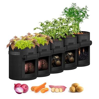 BIJOKETTEN 6 Pack Potato Grow Bags 10 Gallon with Flap and Handle, Planter  Pots Thick Fabric Garden Containers for Tomato, Vegetable and Fruits