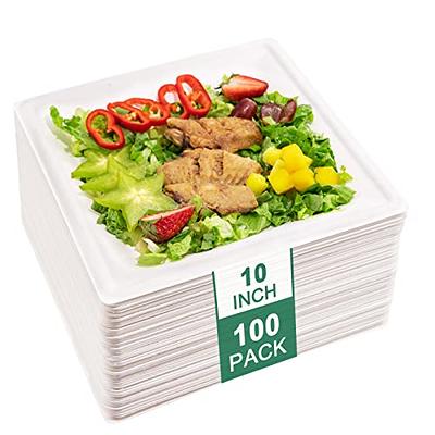  SUT 6-Inch Compostable Paper Plates, 100 PCS Square  Biodegradable Bagasse Plates, Heavy-Duty Microwaveable Plates, Eco-Friendly  Natural Disposable Plates, Made of Sugarcane Fibers, for Party, Picnic :  Health & Household