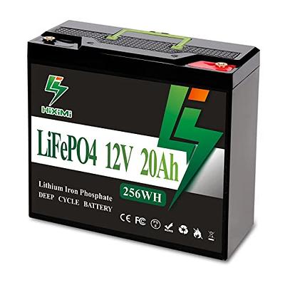 LiFePO4 12V 10Ah 20Ah 30Ah Lithium Iron Phosphate Battery