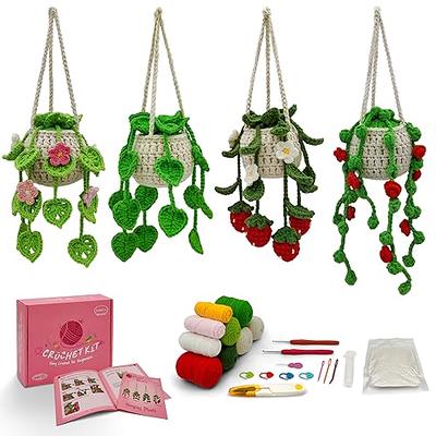 FreeNFond Crochet Kit for Beginners, Potted Plants Crochet Starter Kit with  Step-by-Step Video Tutorials for Adults and Kids Learn to Crochet, Little  Daisy - Yahoo Shopping