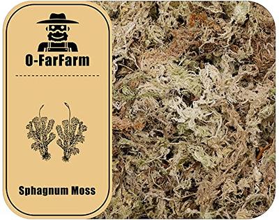 Riare 5.3 oz Premium Sphagnum Moss- Natural Long Fibered Sphagnum Peat Moss Plants Moss Dried, Carnivorous Plants Moss Orchid Potting Mix for