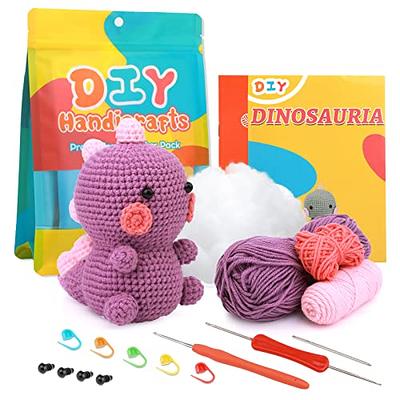 nicedepot Crochet Kit for Beginners, Learn to Crochet with Crochet