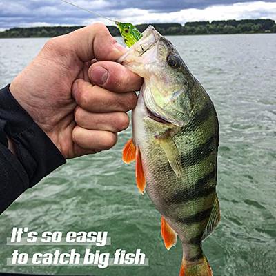  FANTANGLER Fishing Lures for Bass,Lifelike Slow