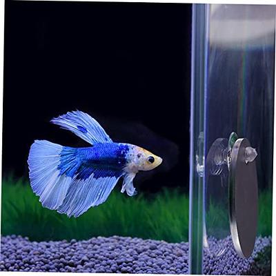 Fish Accessory Tank Small Betta Fish Tank Turtle Aquarium Accessories Fish  Tank