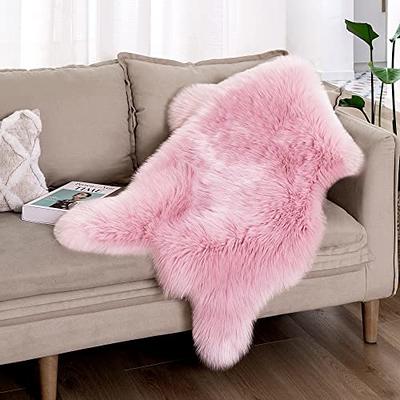 Fluffy Shaggy Area Rug,Ultra Soft Area Rug Fluffy Carpet,2x3 Feet