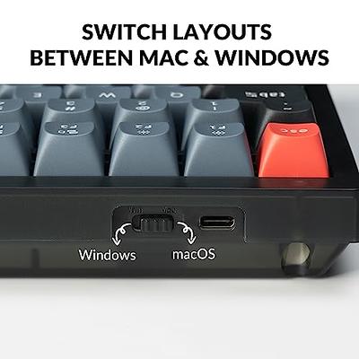 Keychron K2 Pro QMK/VIA Wireless Mechanical Keyboard, Hot-Swappable K Pro  Blue Switch with 75% Layout Custom Programmable Macro, RGB Backlight, PBT