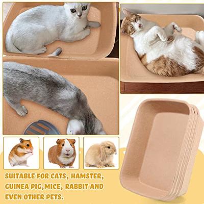 Tessco 3 Pcs Open Small Kitten Litter Box Rabbit Litter Pan