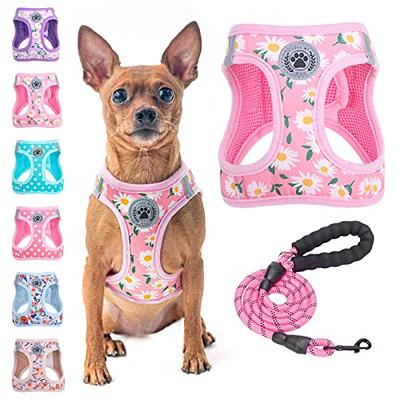 Step in dog harness clearance pattern