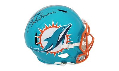 : Riddell NFL Miami Dolphins Pocket Pro Speed Helmet, Team Colors,  One Size : Sports & Outdoors