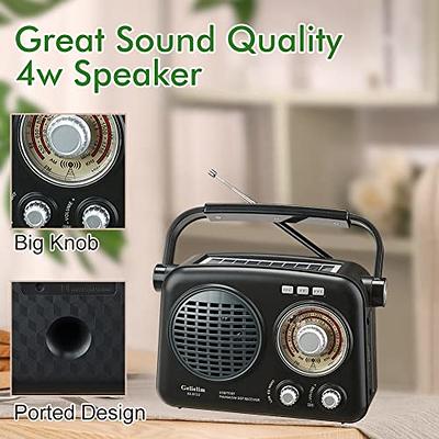 Portable AM FM Radio with Bluetooth, SW Transistor Retro Radio with Best  Reception, Battery Operated or AC Power, Bluetooth Speaker Earphone Jack  USB