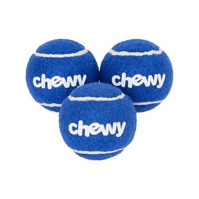 Frisco Fetch Squeaky TPR Ball Dog Toy, Blue, Medium, 1 count