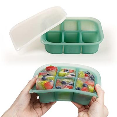 Hoolerry 4 Pcs Silicone Baby Food Freezer Tray with Clip on Lid Baby Food  Storage Containers Milk Trays for Breastmilk Silicone Ice Cube Trays for