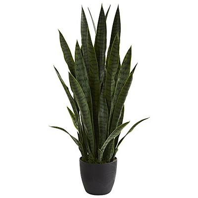 41in. Air Plant and Succulent Jungle Artificial Plant Nearly Natural