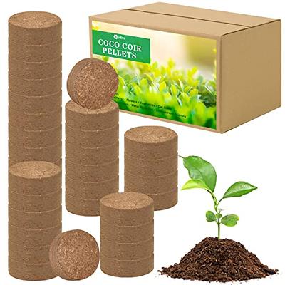ZeeDix 10 Pcs Premium Coconut Coir Compressed Coco Coir 100% Organic Coco  Coir Brick Coconut Coir Bricks with Low EC and pH Balance for Plants  Gardening Herbs - Yahoo Shopping