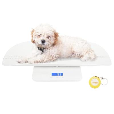 AvaWeigh PC20OS 20 lb. Digital Portion Control Scale with an Oversized  Platform