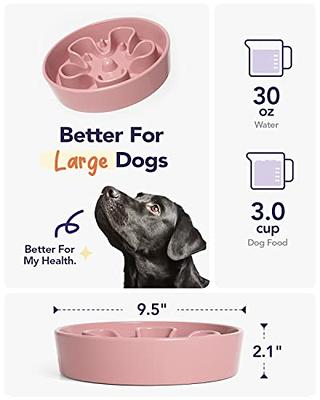 Havniva Ceramic Slow Feeder Dog Bowl