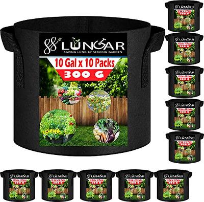 iPower 10-Pack 10-Gallon Grow Bags Nonwoven Fabric Pots Aeration Container  with Strap Handles for Garden and Planting, 10 Gallon, Black