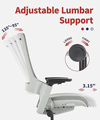 CLATINA Office Chair Ergonomic Rolling Computer Desk Chair with