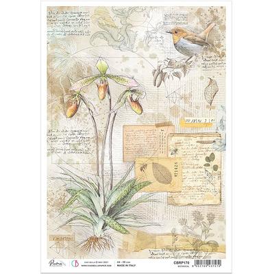 A4 Botanical Plants Decoupage Piuma Rice Paper For Crafts, Furniture &  Mixed Media Sign Of The Times Collection Cbrp170 - Yahoo Shopping