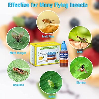  Fruit Fly Trap Bait Only,Fly Insects Trap Attractant for Indoor  Outdoor,Effective Fruit Fly Trap Refills Liquid,Fruit Fly Trap Bait Refill  for Home,Kitchen,Plants : Beauty & Personal Care