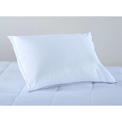 Sealy  Firm Support Pillow