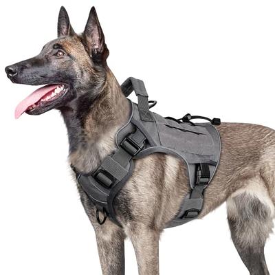 WINGOIN Purple Tactical Dog Harness Vest for Small Dogs No Pull