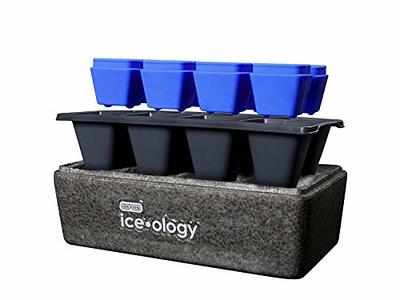 Dexas Iceology Clear Ice Cube Mold