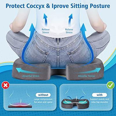 CloudBliss Seat Cushion for Office Chair,Car Seat,Lumbar and Back Support  Memory Foam Pillow, Coccyx Cushion for Tailbone ,Sciatica & Back Pain  Relief