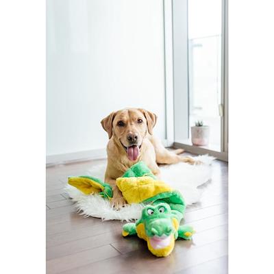 The FLOPPY FISH™ Interactive Toy for Dogs (50% OFF Today)